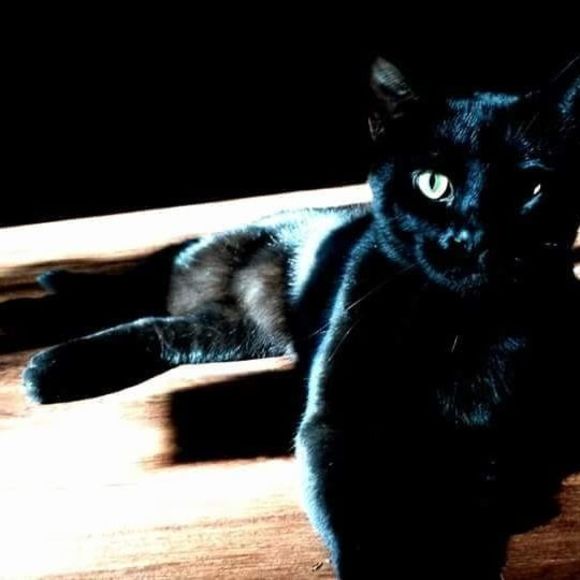 Meet your Posher, April - Picture 1 of 1